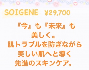 ビジター価格￥8,800→特別価格￥3,300